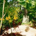Path to Lower Garden